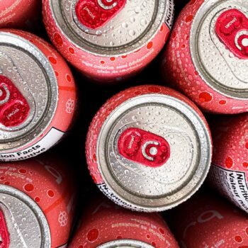 Carbonated Water (Assorted Flavours)